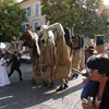 Hochzeit_Stefan&Rosi (8)