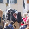 Wudelen Kinderumzug _2010 (124)