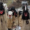 Jungwudelen_Unsinniger_2011_026