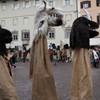 Jungwudelen_Unsinniger_2011_055