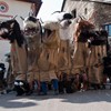 Umzug_Schnappviecher_2011_111