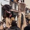 Umzug_Schnappviecher_2011_125