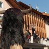 Umzug_Schnappviecher_2011_133