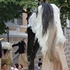 standl_sepp_ida_030