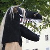 standl_sepp_ida_037