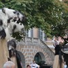 standl_sepp_ida_053