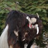 standl_sepp_ida_055