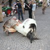 standl_sepp_ida_066
